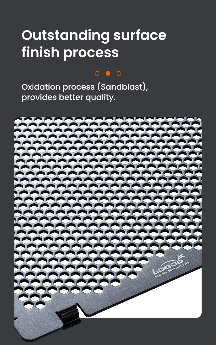 Radiator Guard Applicable to BMW R1300GS (LOBOO)