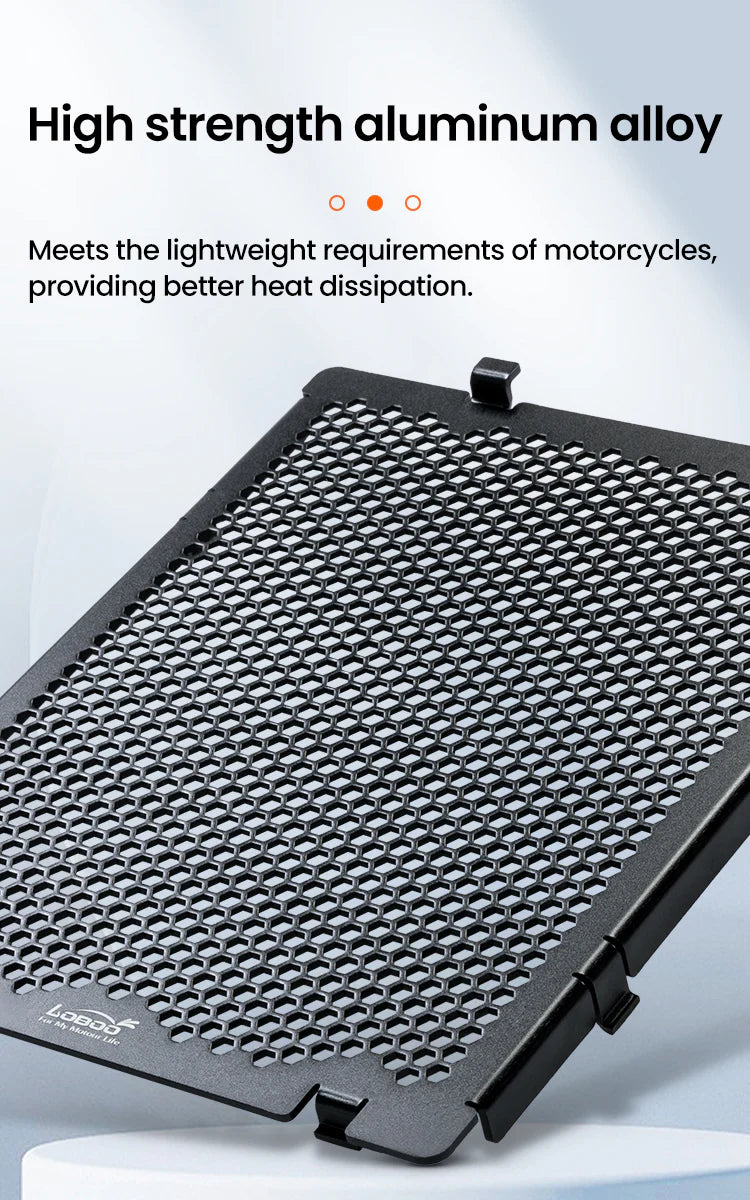 Radiator Guard Applicable to BMW R1300GS (LOBOO)